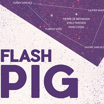 2017 / Flash Pig